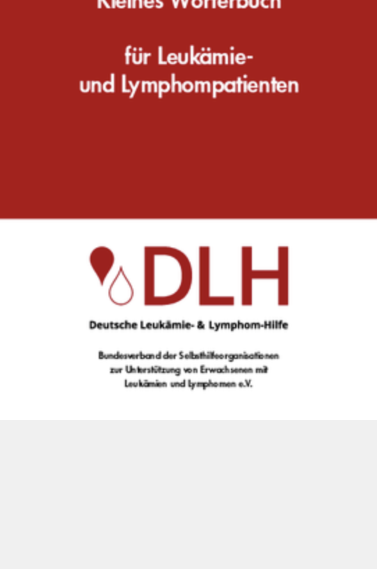 2025 DLH Woerterbuch