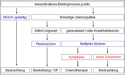 Algorithmus zur Einteilung der Plasmazellerkrankungen